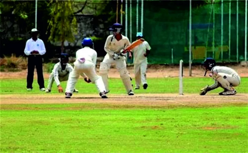 cricket SWS